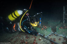 Recovery of the cages containing biological samples. (© PNRA)