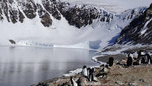 One of the sampling sites of the project: Adelie Cove (Ross Sea) (Credit: PNRA)