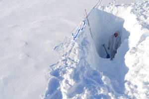 Campionamento di neve lungo il profilo verticale di una trincea nel ghiacciaio Holtedahlfonna (Isole Svalbard) © Elena Barbaro CNR-ISP