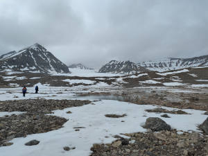 Valley at the base of the Austre-Vestre Brøggerbreen glaciers © Francesca Spataro CNR-ISP