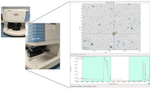 Analysis of small microplastics (< 100 µm) by Micro-FTIR © Fabiana Corami CNR-ISP