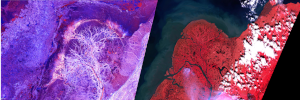 Figure 2 - On the left: Image acquired by the active sensor of the satellite Sentinel 1 - On the right: Image acquired by the passive sensor of the satellite Sentinel2