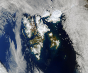 Figura 2: Immagine acquisita dal sensore OLCI (Ocean and Land Colour Instrument) del satellite Sentinel 3A  