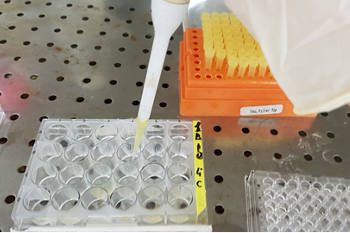 Microbial Biogeochemistry Laboratory (BiogeM)