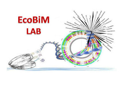 Laboratorio di Ecologia e Biotecnologie Microbiche (EcoBiM)