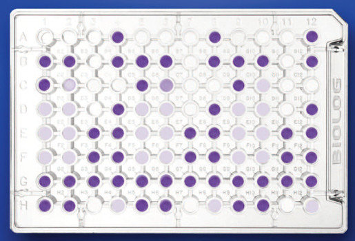 Analisi biologiche su effetti di microinquinanti organici negli ecosistemi (BioChem)