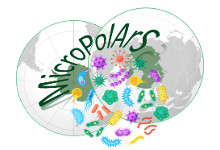 MicroPolArS