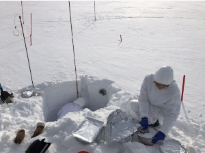 Attività di campionamento di neve a Ny-Ålesund, Isole Svalbard (Crediti: F. Scoto, Cnr - Unive)