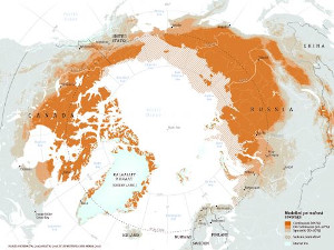 Frozen grounds permafrost in the Arctic