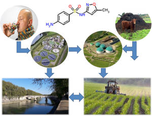 dinamiche di immissione di antibiotici umani e veterinari dall’uomo/allevamenti animali all’ambiente